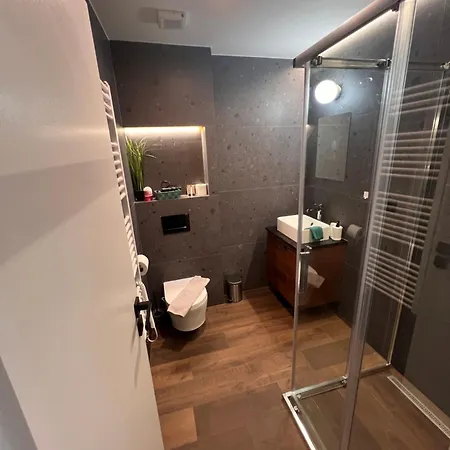 Apartment Centrum Cheb